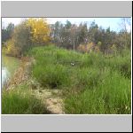 Majdalena 6.11.2008.JPG